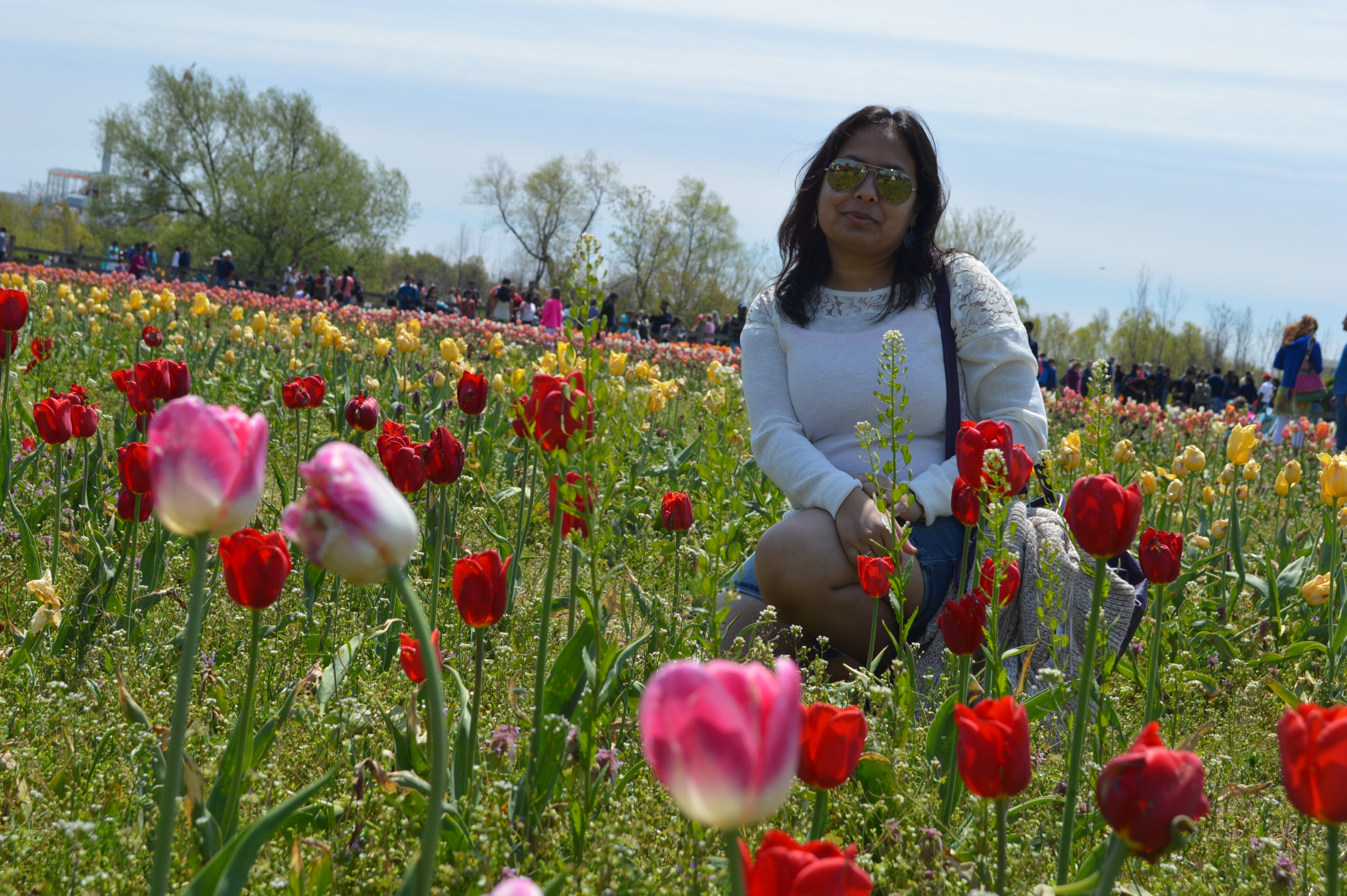 Tulip time festival in holland