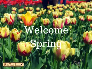 Bye Bye Winter and Welcome Spring!!