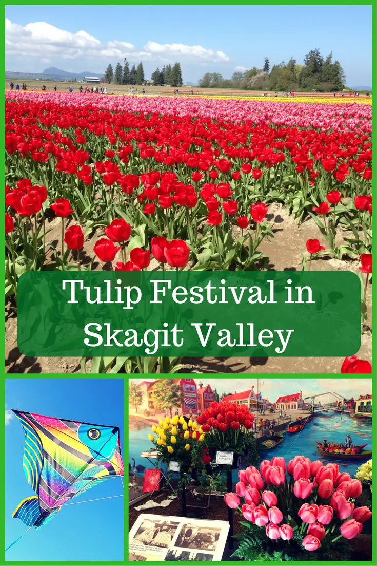 Tulip Festival in Skagit Valley