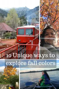 10 Unique ways to explore fall colors