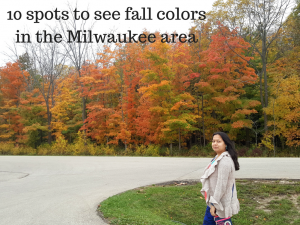 Best fall colors to explore in the Milwaukee area