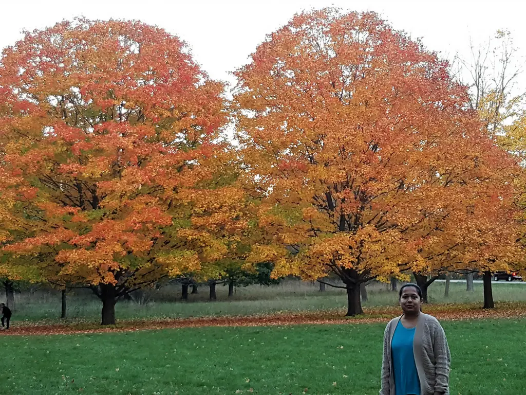 Local’s guide to Fall colors in the Whitnall Park