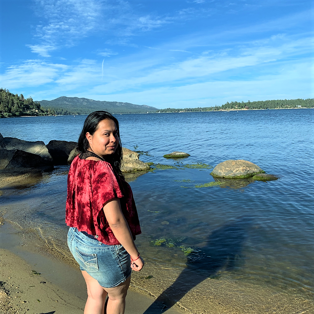 Pine oak lane beach at big bear lake california