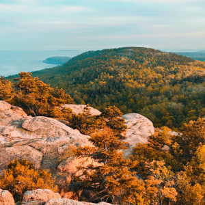 Fall colors in Acadia National Park
