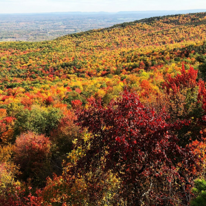 Fall colors in Hudson valley in new york