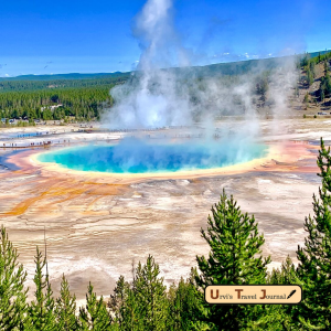 Best thing to do in Yellowstone