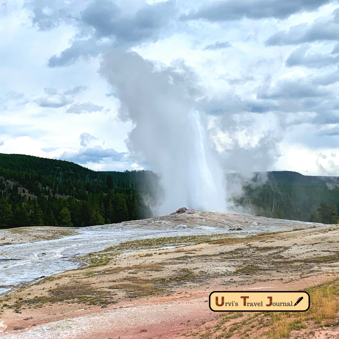 Most popular old faithful geyser