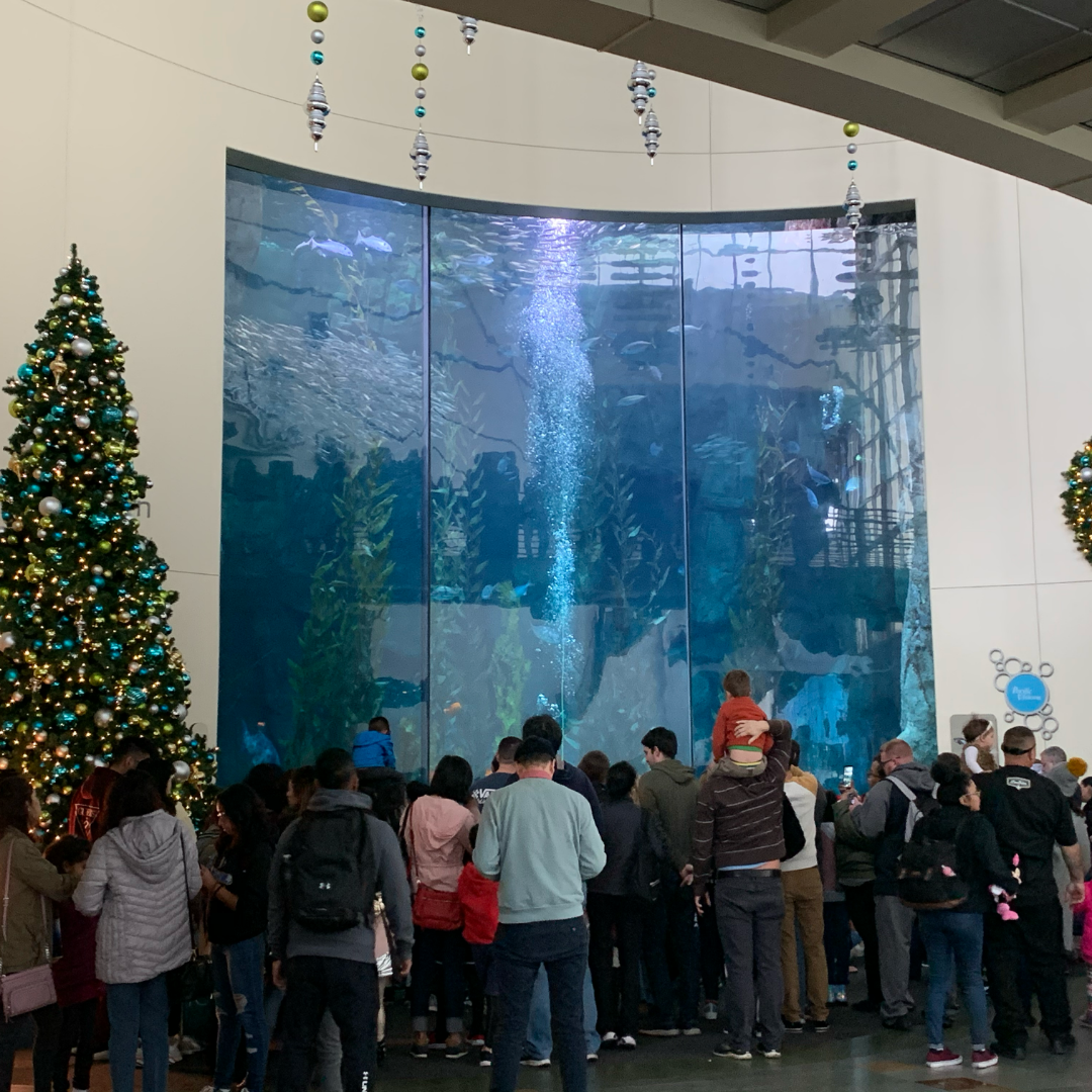 Crowd at aquarium of the Pacific