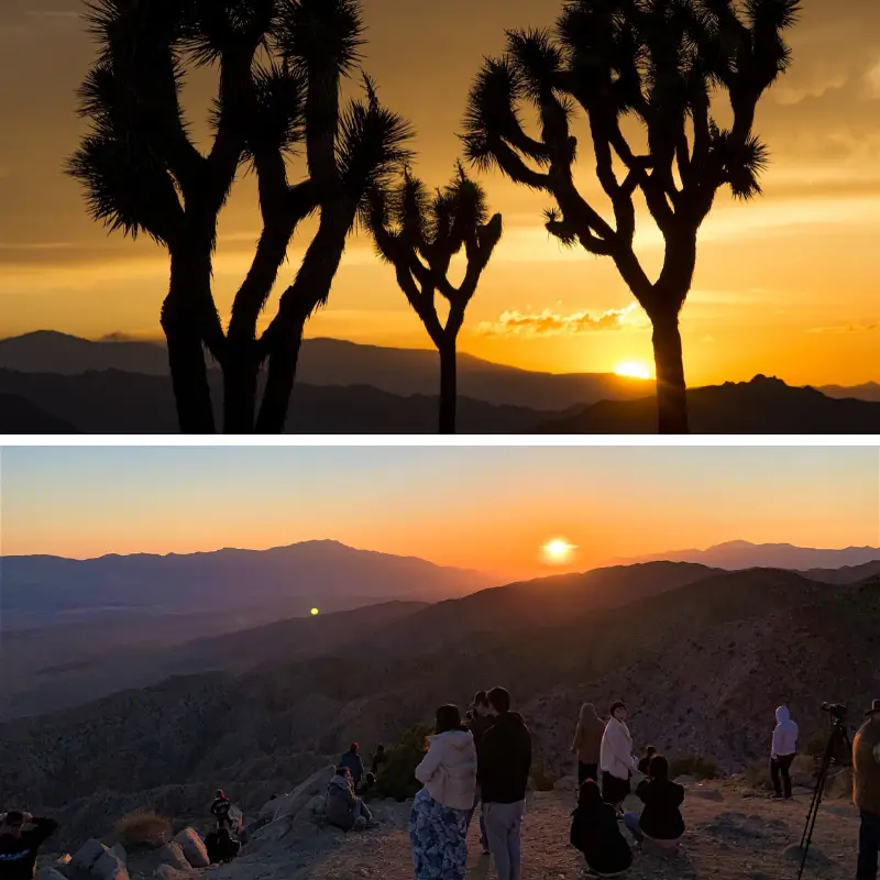 sunset at Joshua Tree National Park