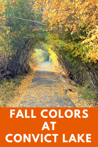 Places to view fall colors in california