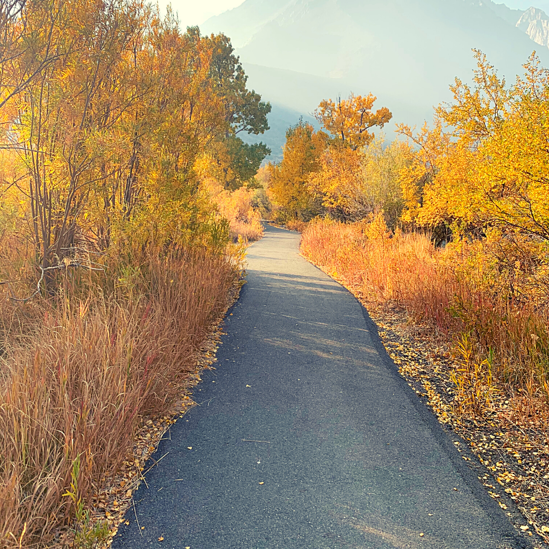 Fall colors at Convict lake