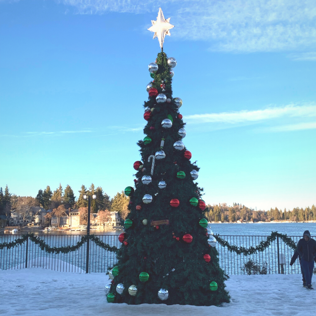 Christmas tree at lake arrowhead