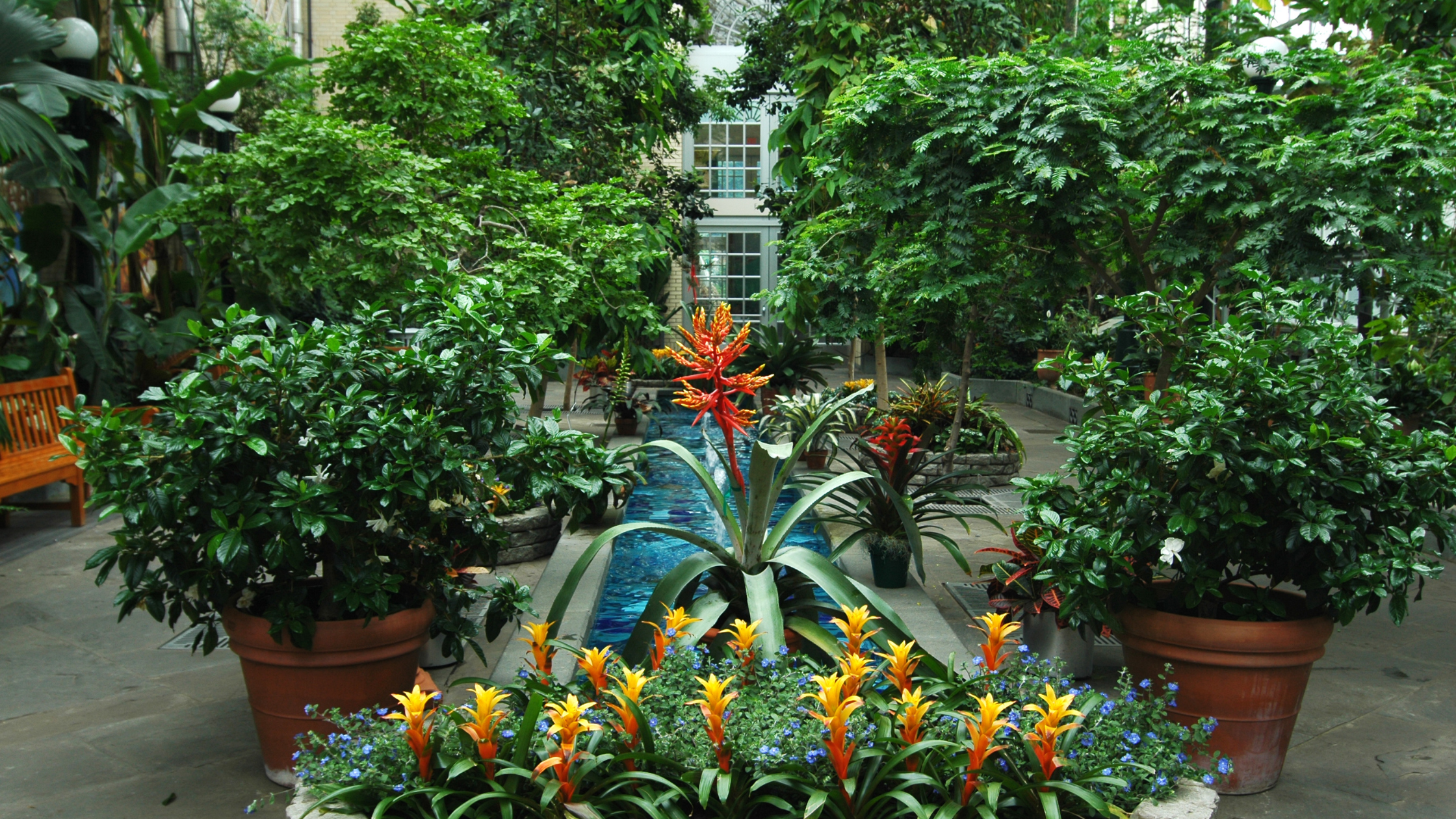 Botanica garden