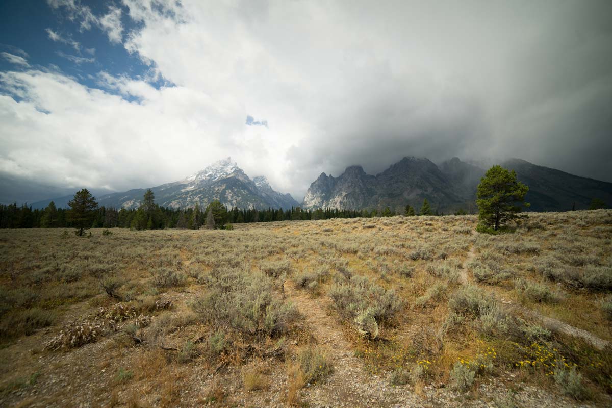 things to do in Grand Teton