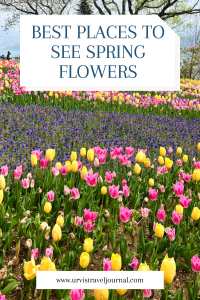 Best-places-to-see-spring-flowers