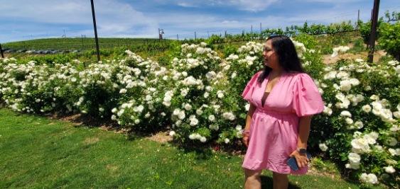 winery